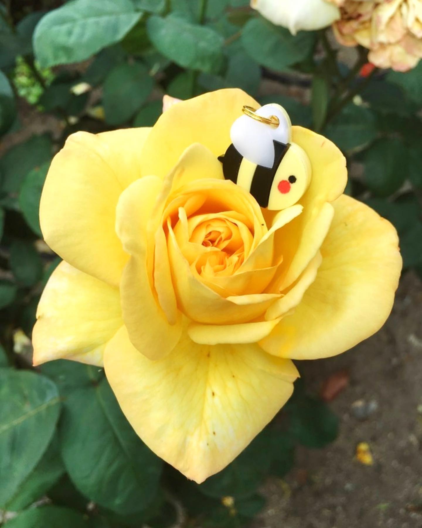 Abejita 🐝