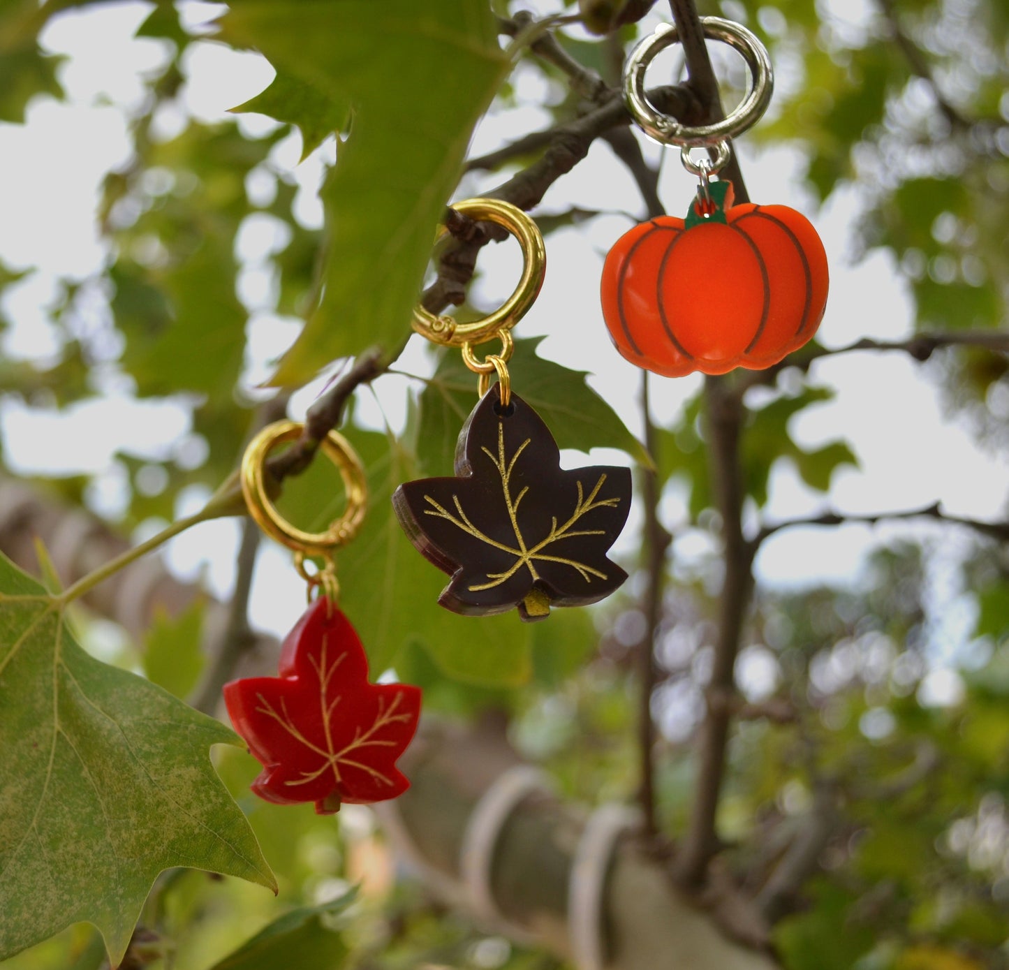 Colección SWEET AUTUMN
