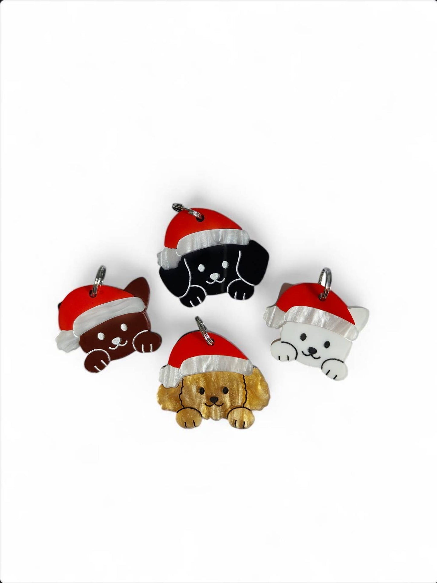 Identificación Santa Paws