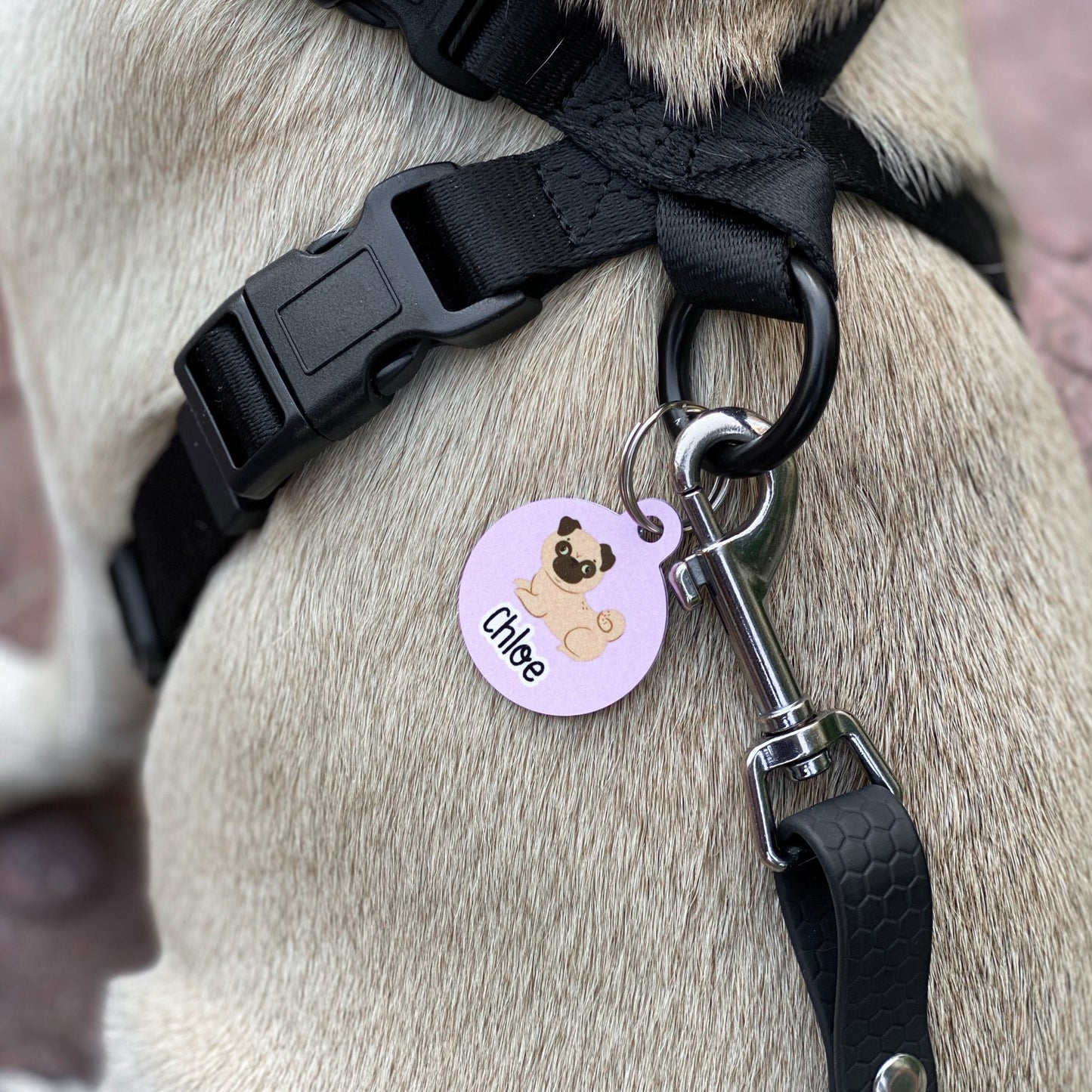 Pug metal tag