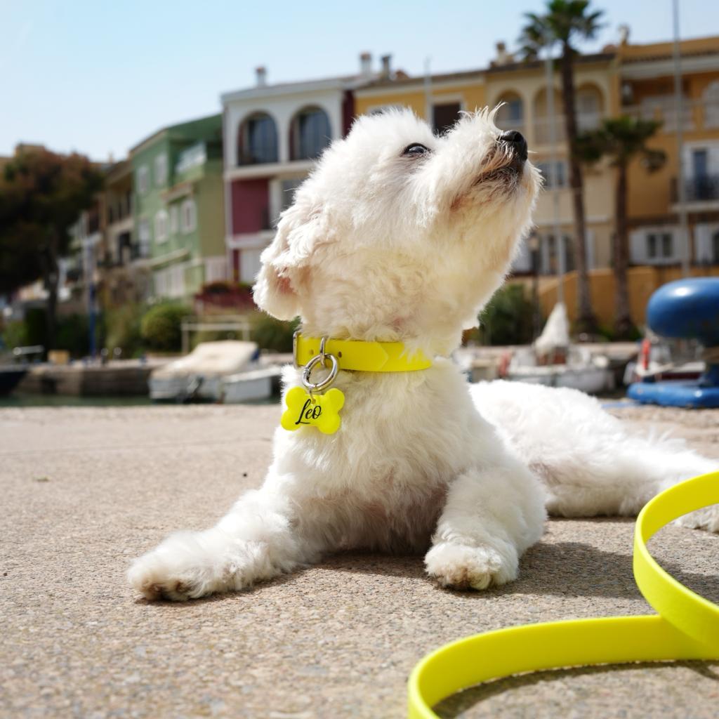 Collar cuero vegano NEON LEMON