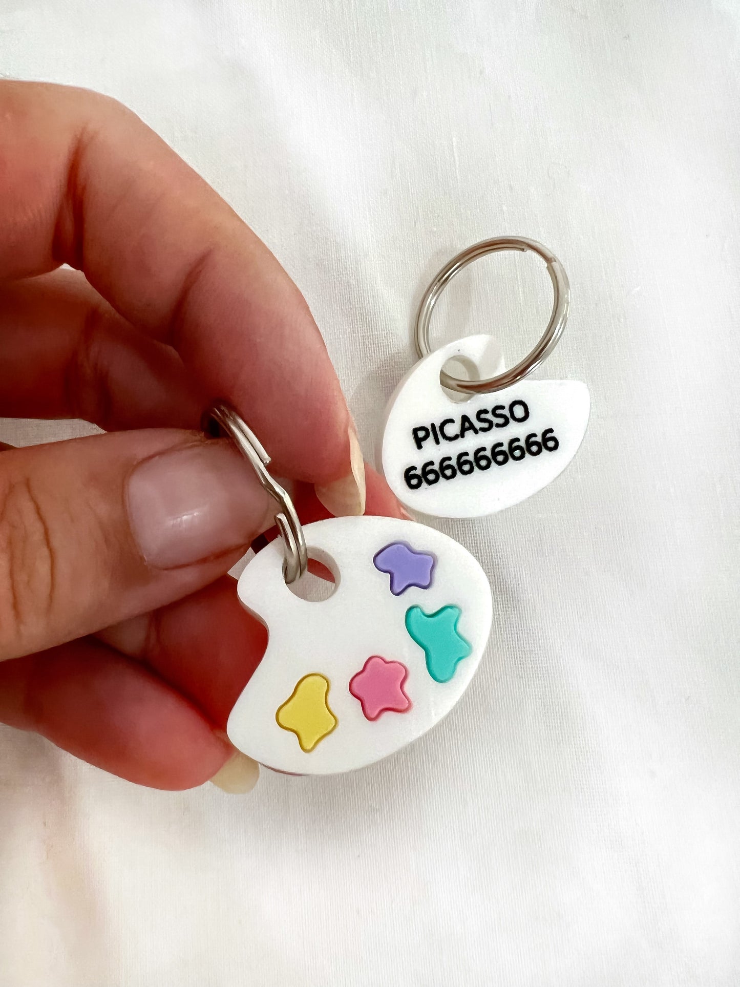 Identificación PICASSO