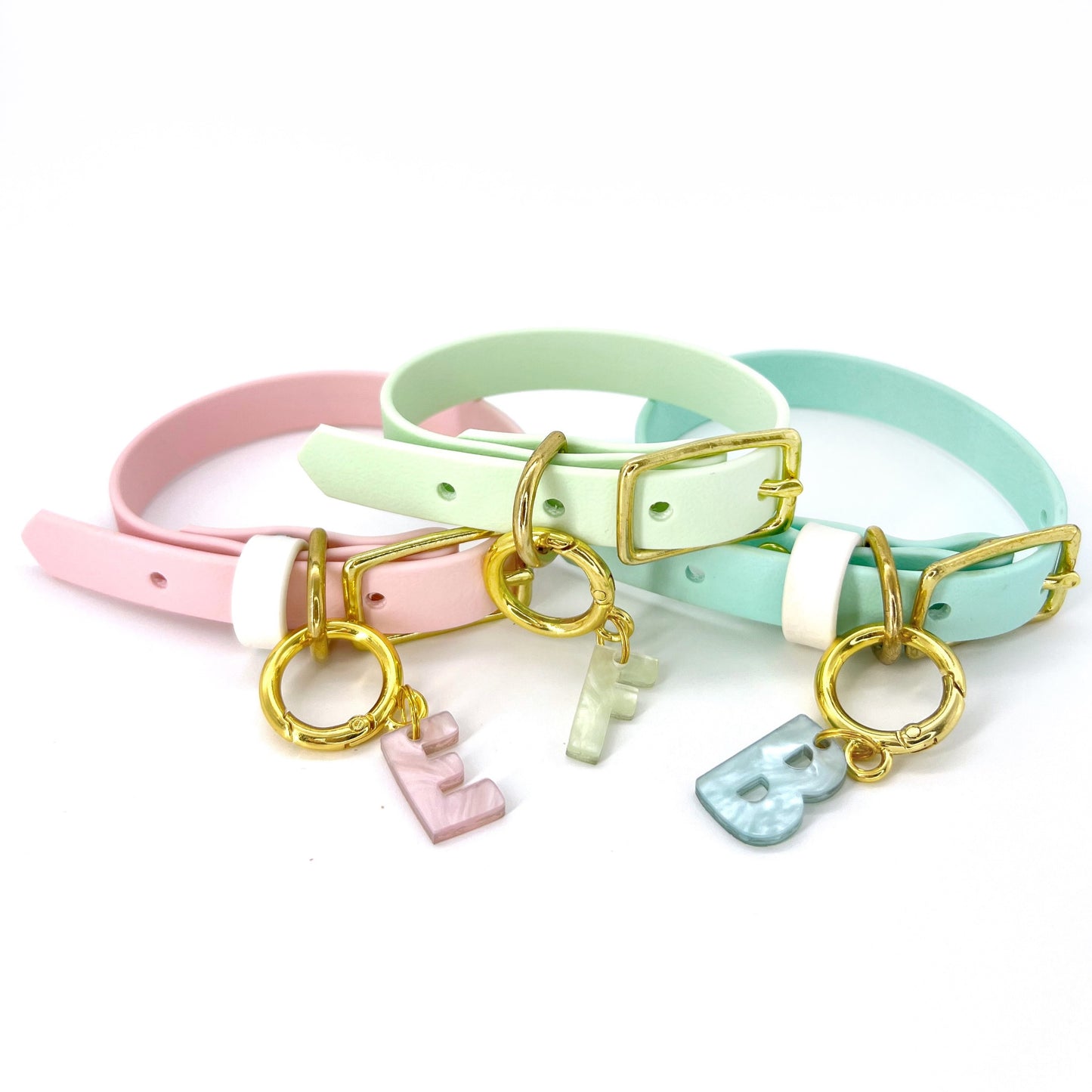 Identificazione iniziale