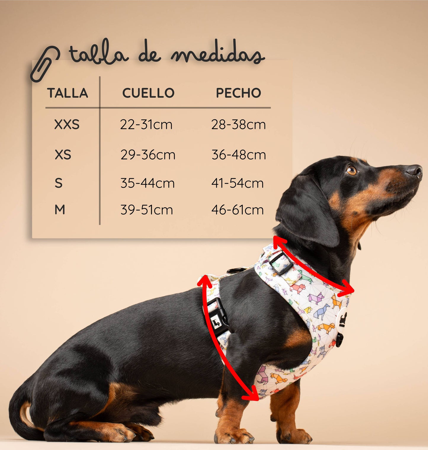 Arnés Origamidog + chapita