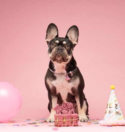 Pack CumpleGuau 🥳