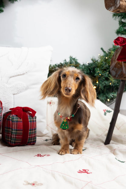 Identificación Xmas Tree