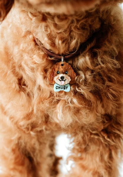 Caniche personalizado