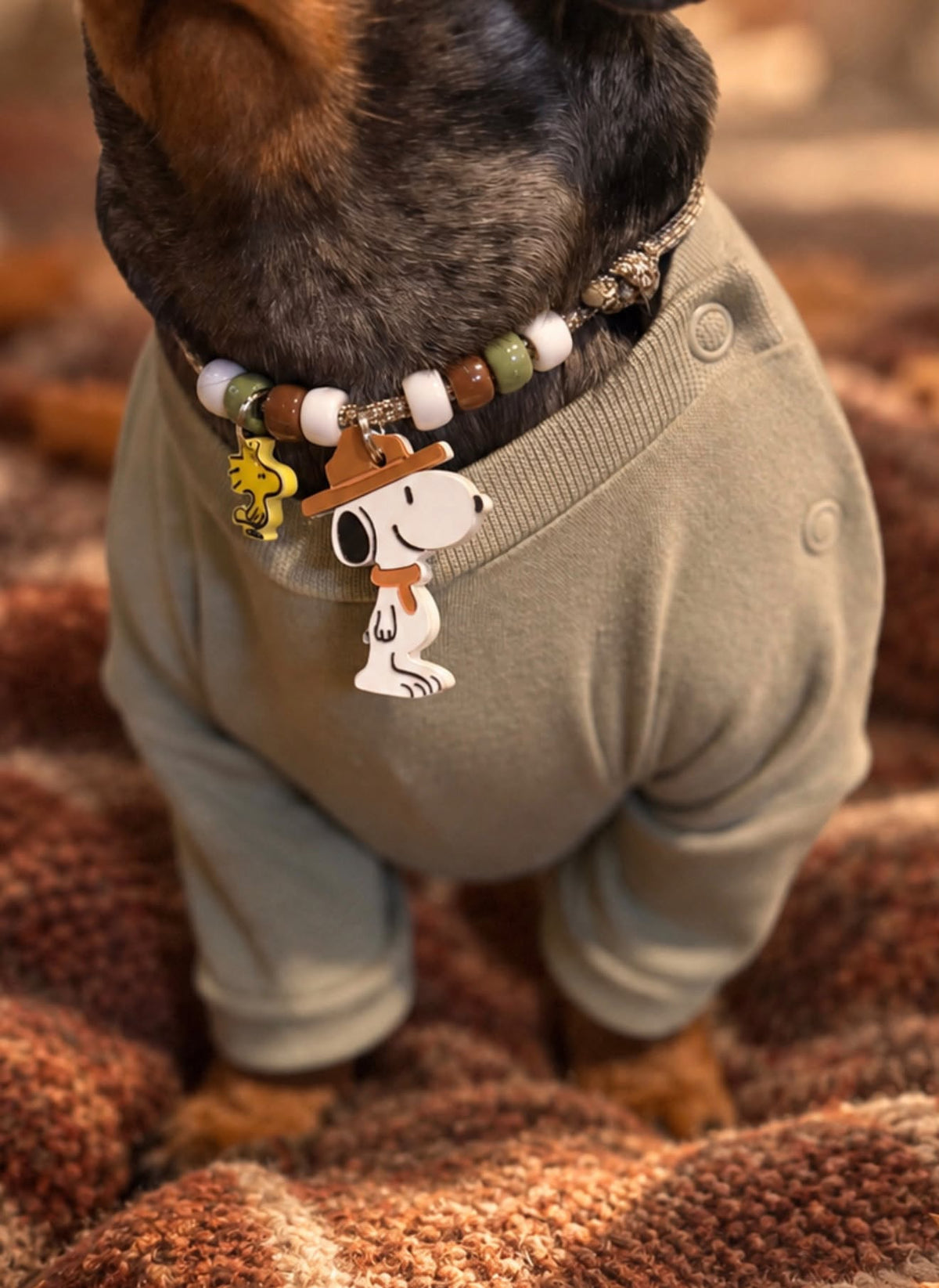 Snoop Dog Scout