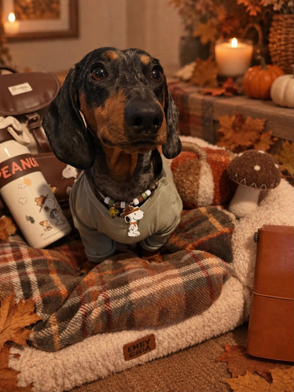 Snoop Dog Scout