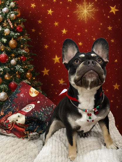 Bola de cristal 🔮