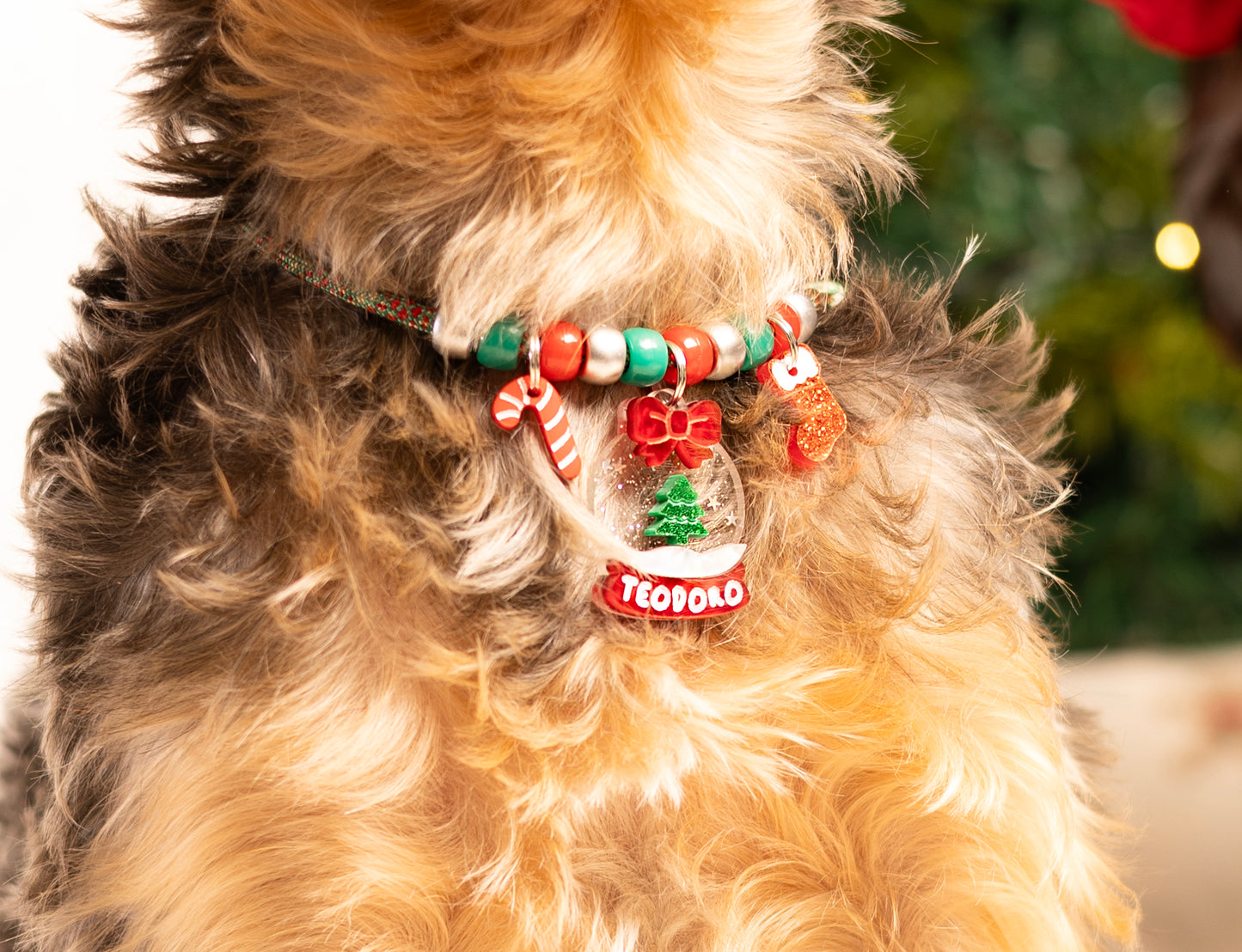 Bola de cristal 🔮