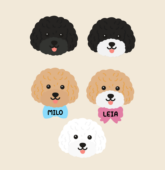 Bichón Frisé personalizado