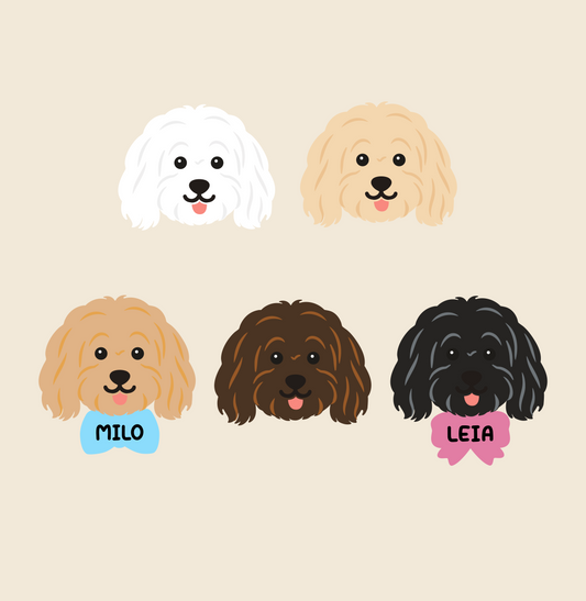 Bichón Maltés personalizado