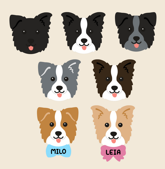 Border Collie personalizado