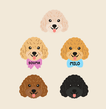 Caniche personalizado