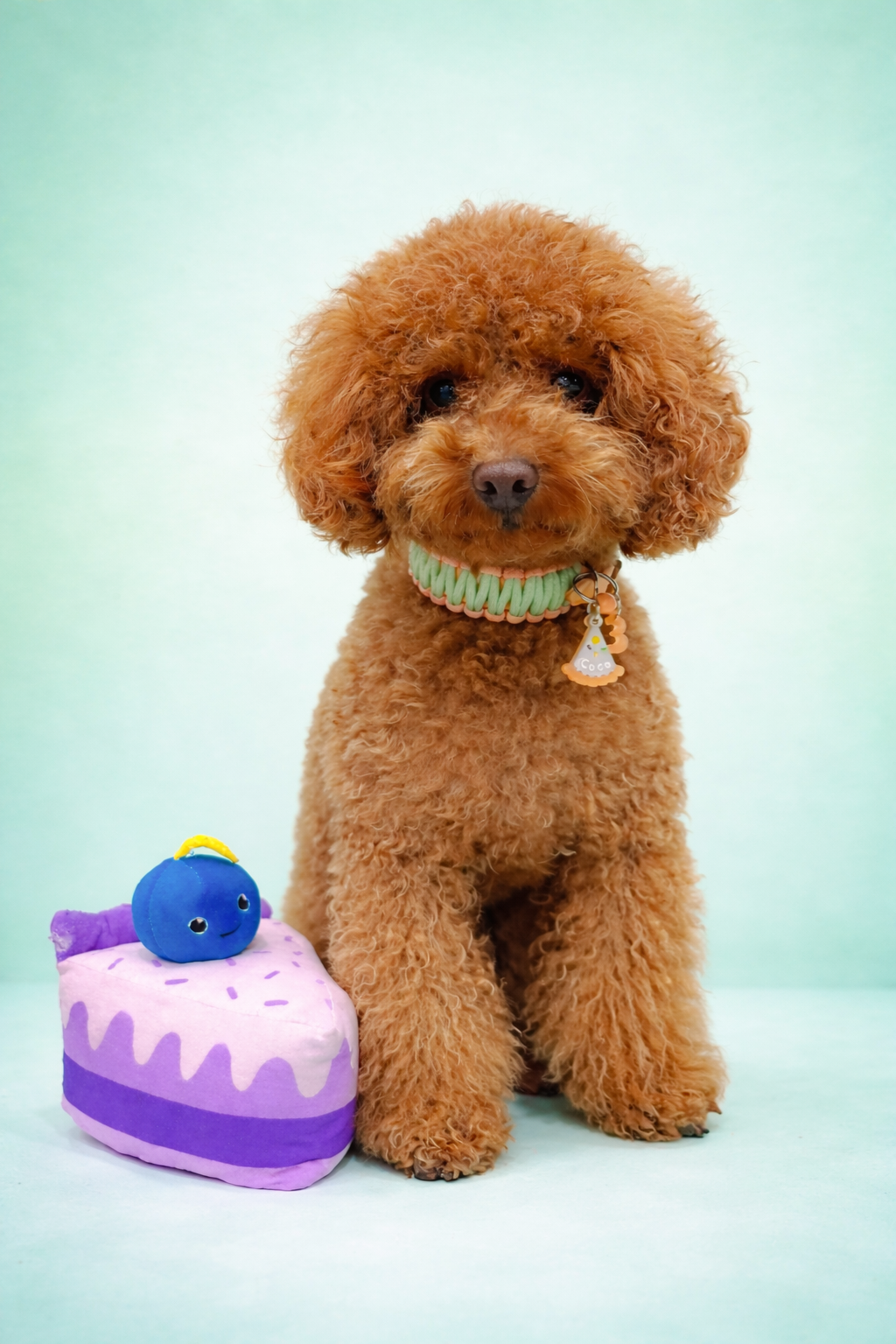 Pack CumpleGuau 🥳