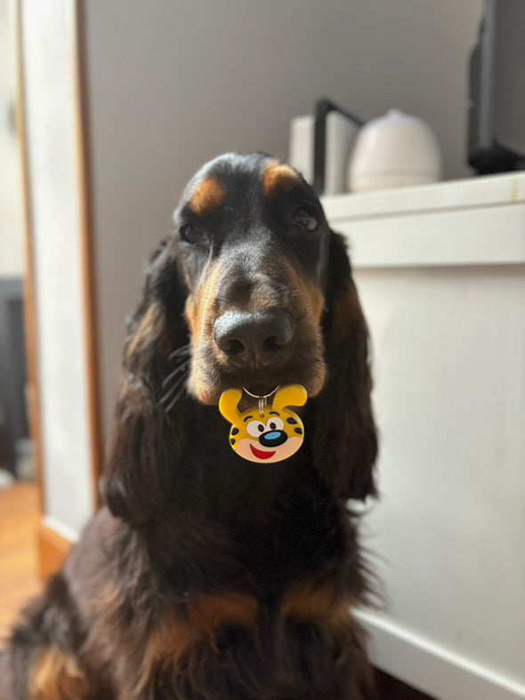 Marsupilami