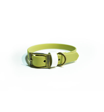 Collar cuero vegano HOLY GUACAMOLE