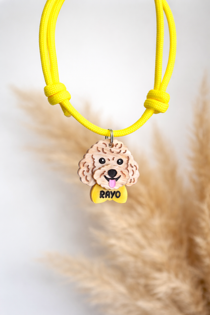 Caniche personalizado