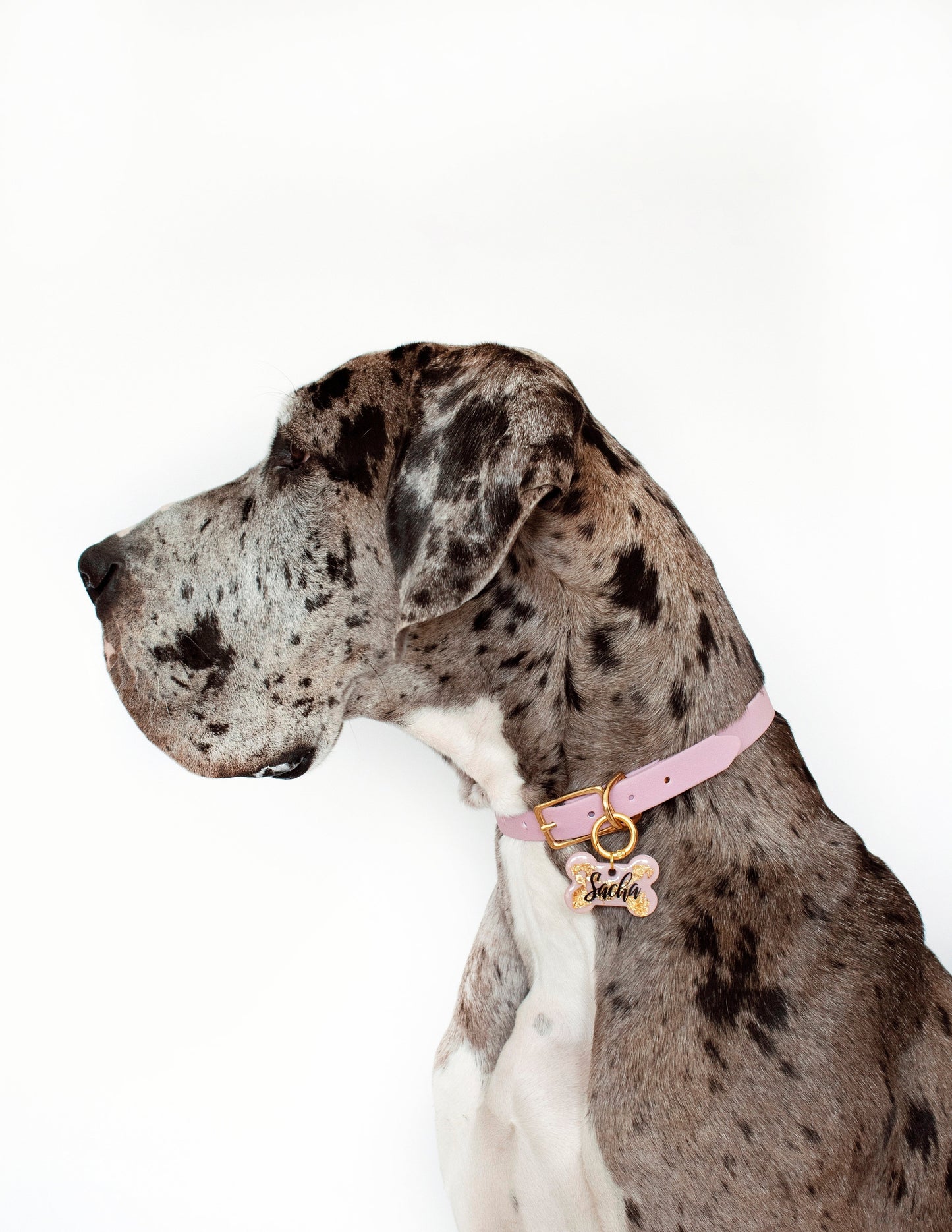 Collar cuero vegano LILAC