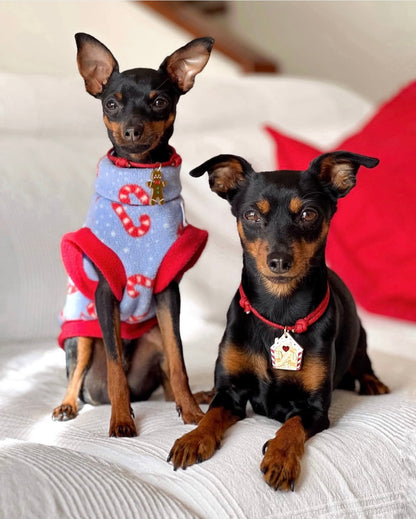 Identificación Casita de Jengi