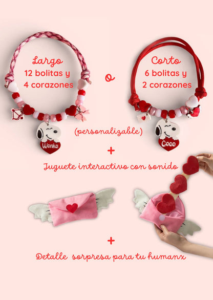 PACK SAN PELUDÍN plus