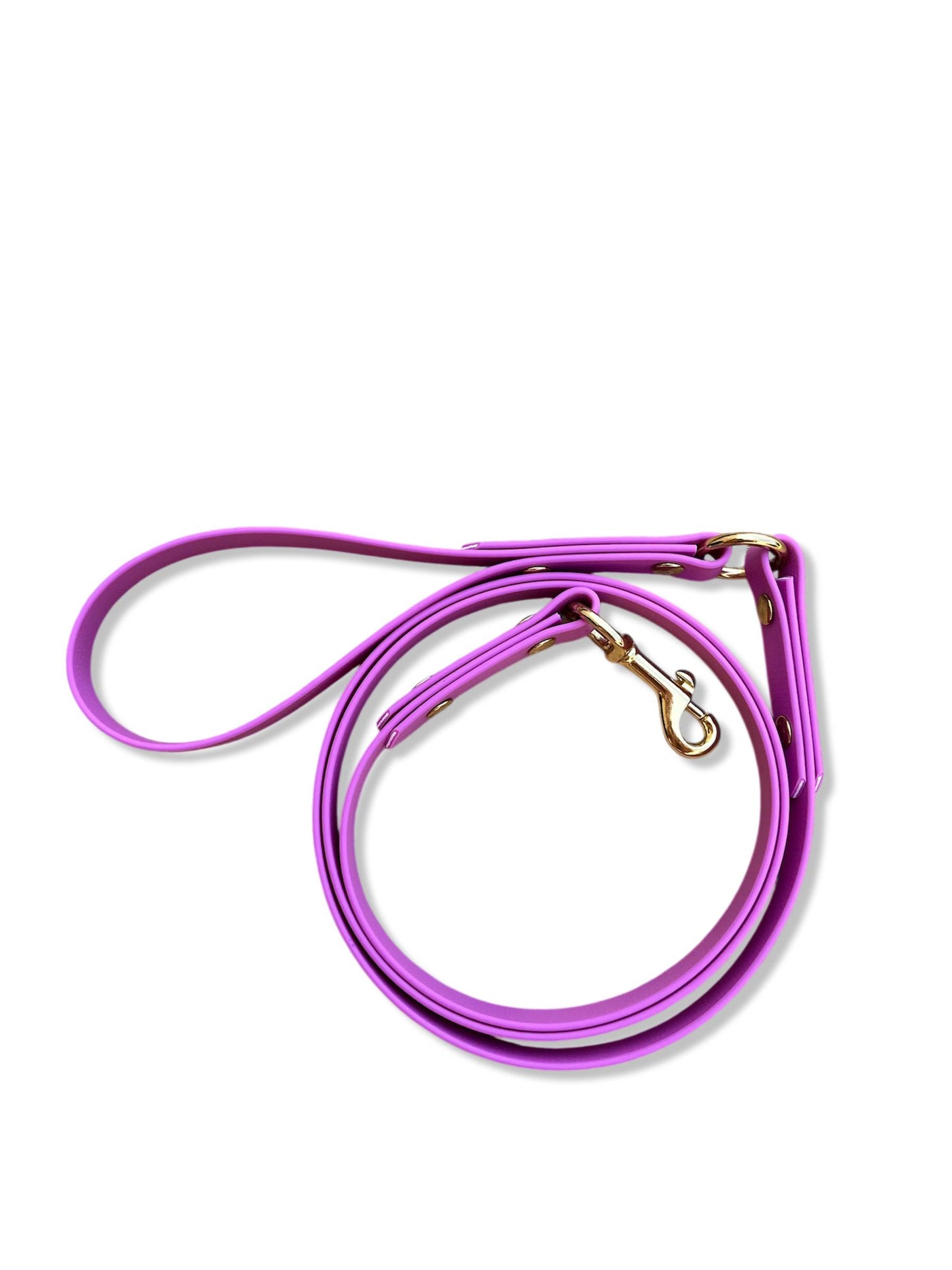 VIRIDIAN Leash