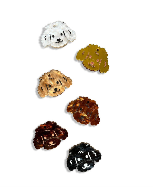 Identificación CANICHE