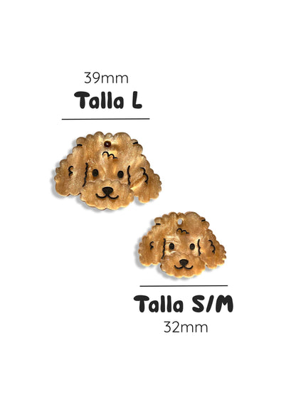 Identificación CANICHE