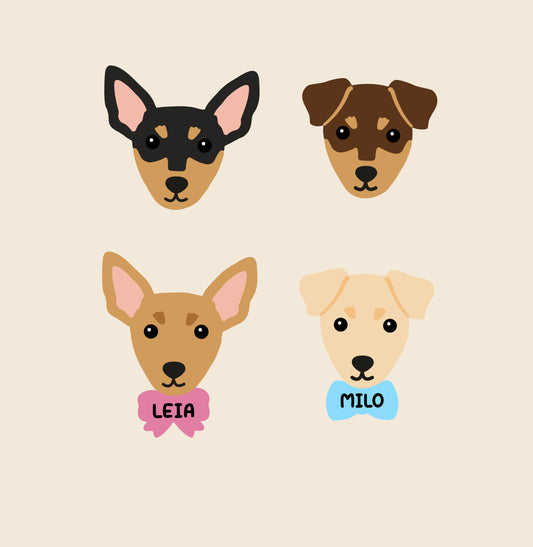 Pinscher personalizado