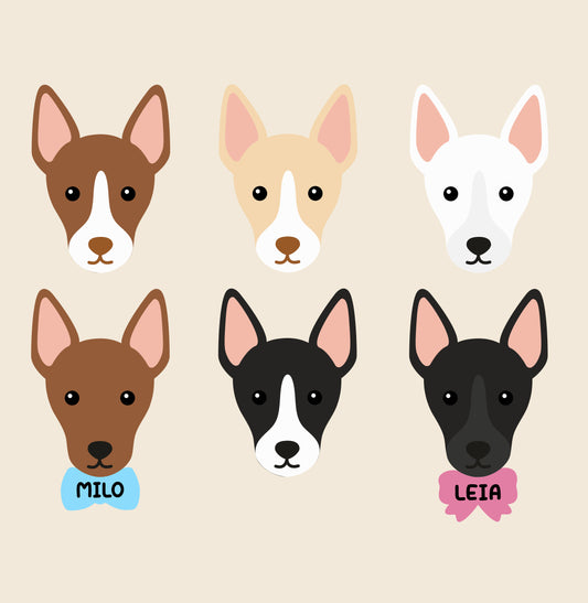 Podenco personalizado