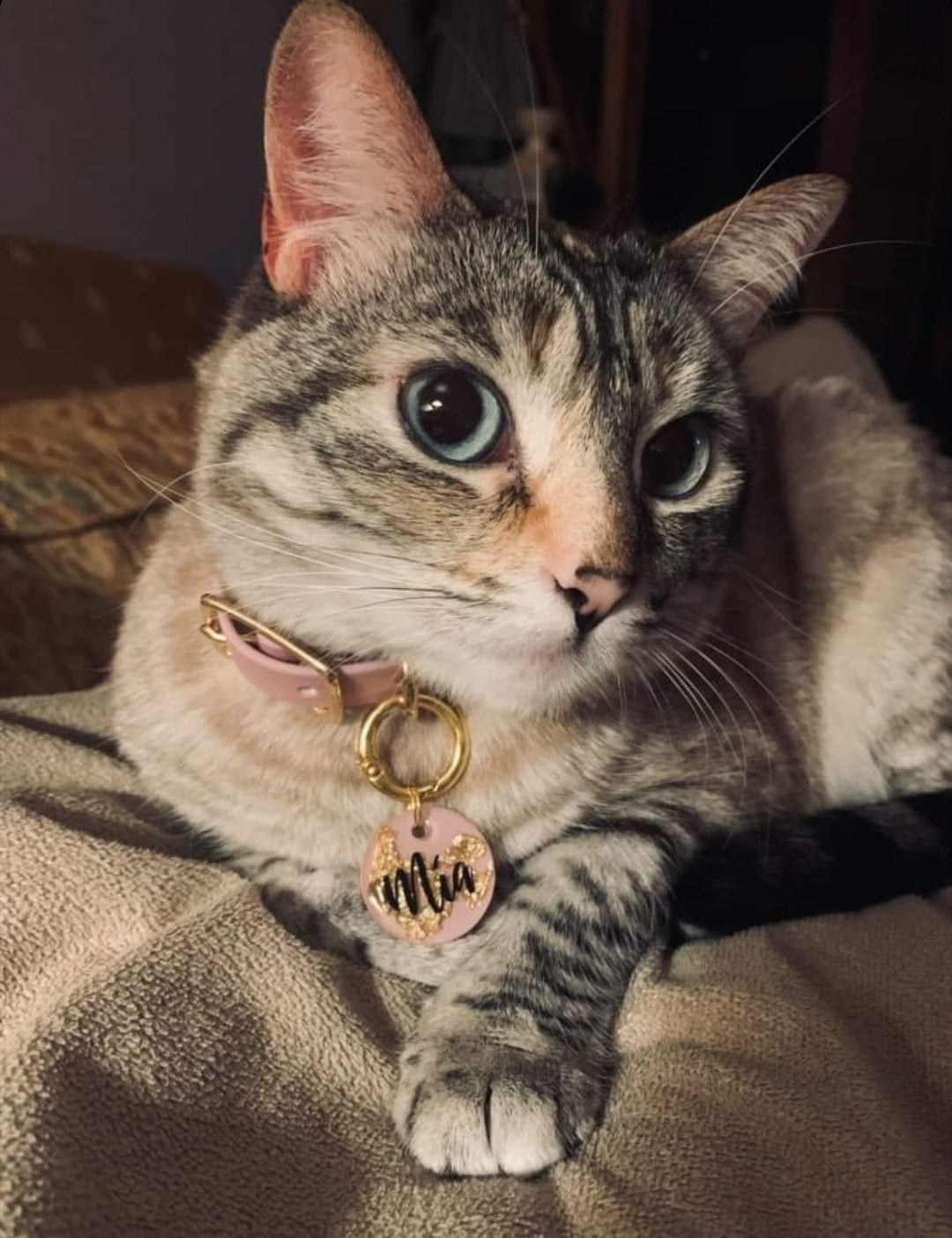 Collar cuero vegano LILAC