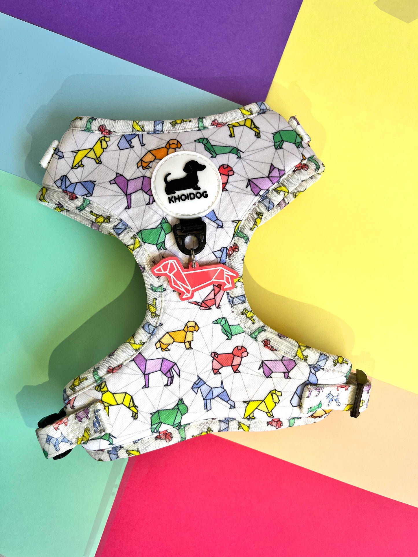 Arnés Origamidog + chapita