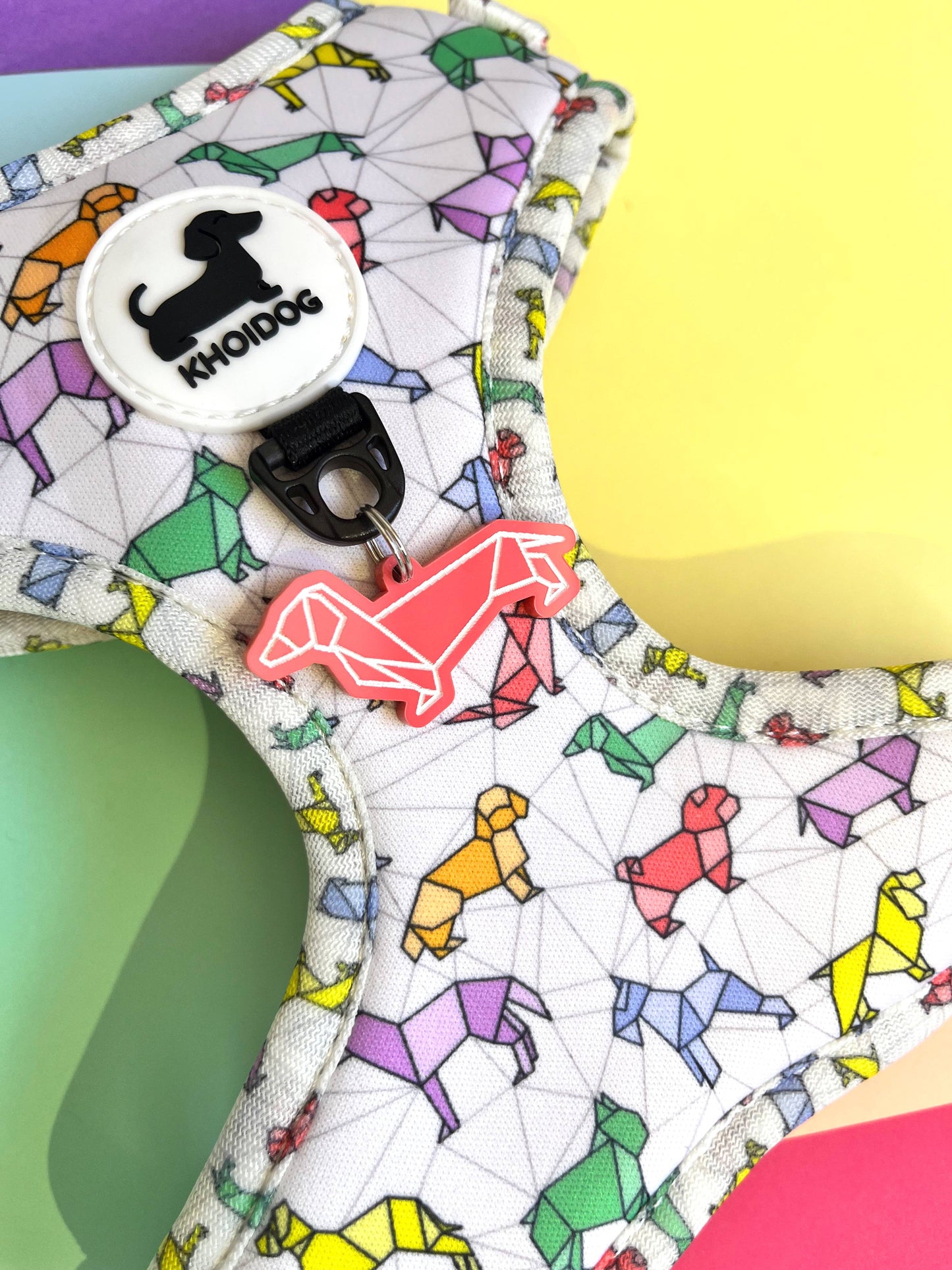 Arnés Origamidog + chapita