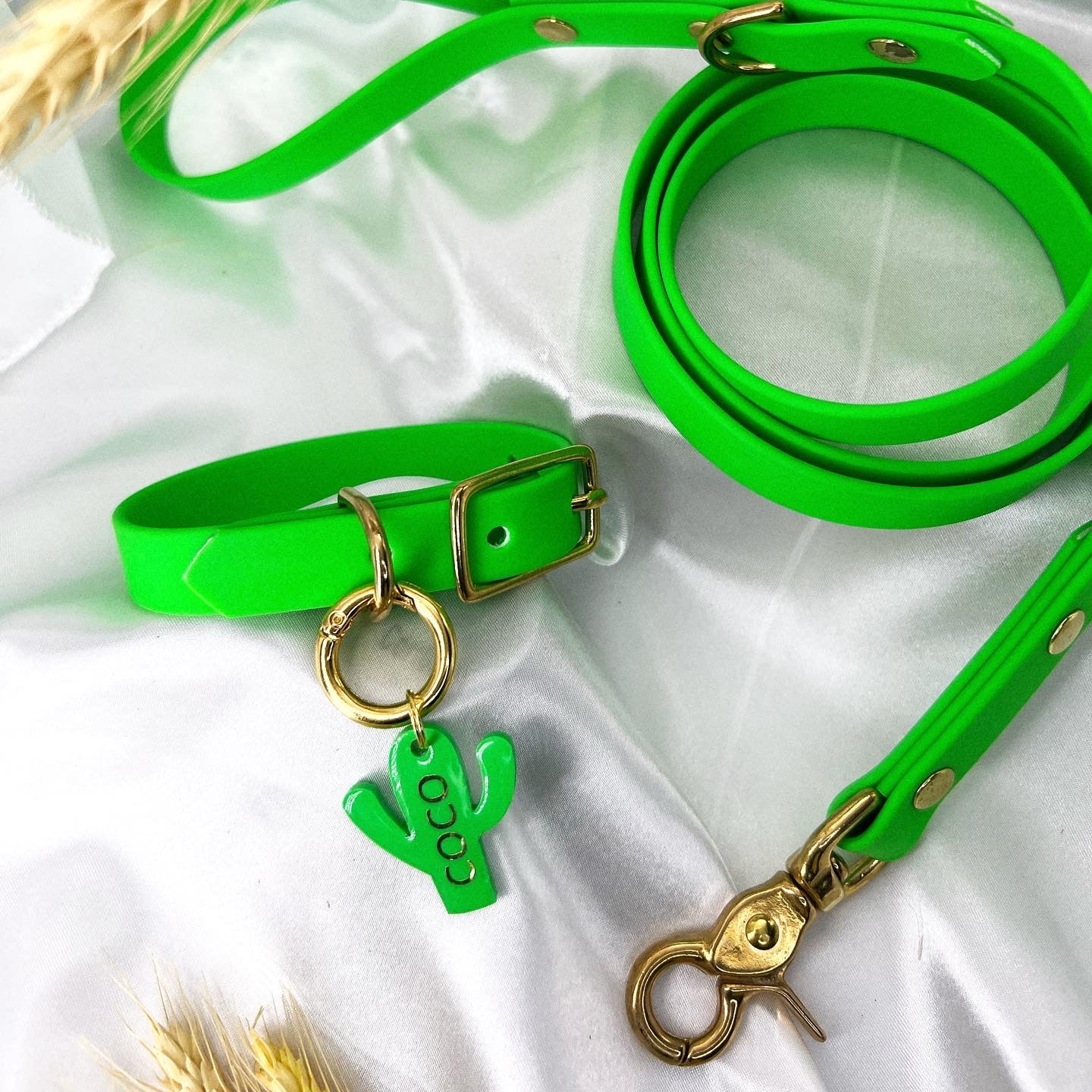 NEON WASABI Leash