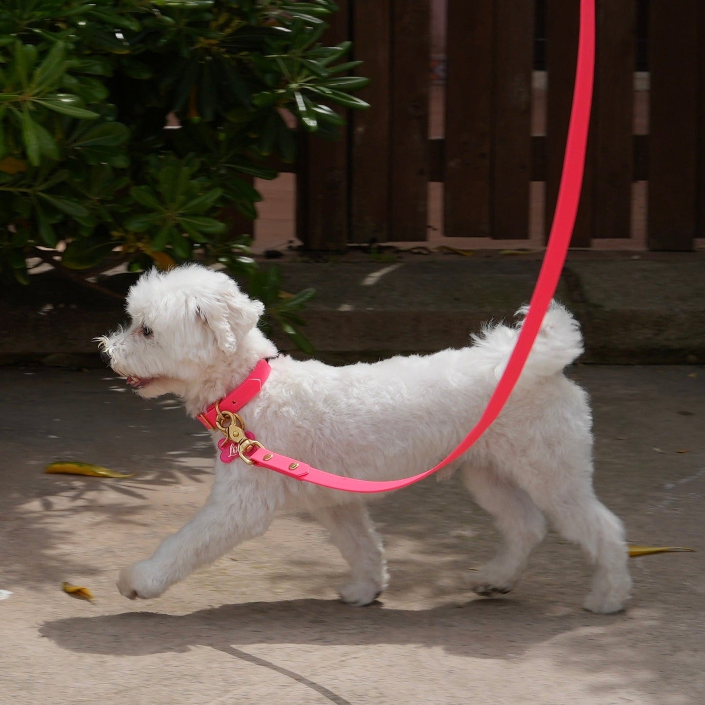 Collar cuero vegano NEON PITAYA