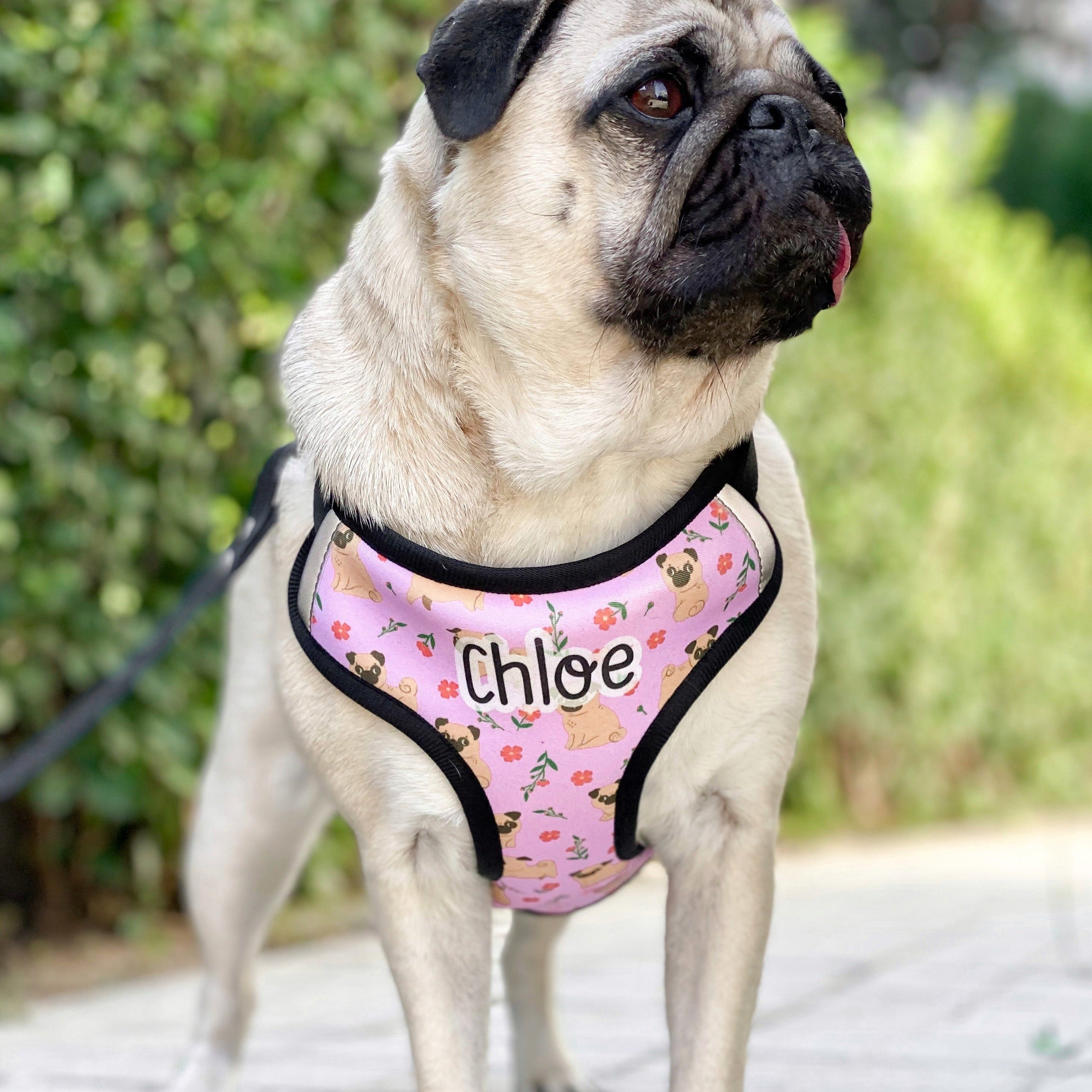 Pug Harness M