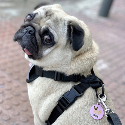 Arnés Pug